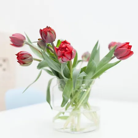 Hip & Stylish In Center, Near Trainstation, 15 Min Walk ゲストハウス 4*